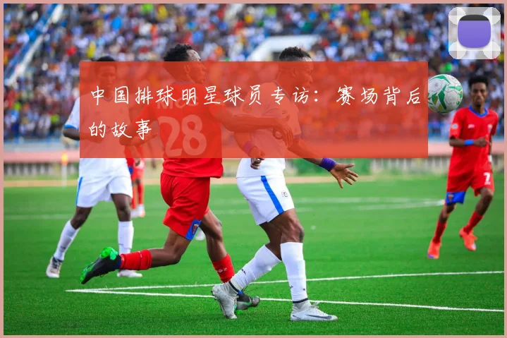 中国排球明星球员专访:赛场背后的故事